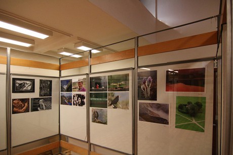 Exhibition photos