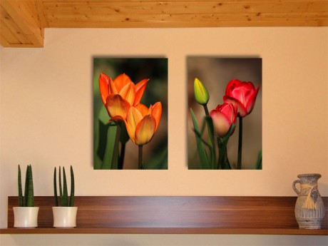 red & orange tulips - 2:3 & 2:3