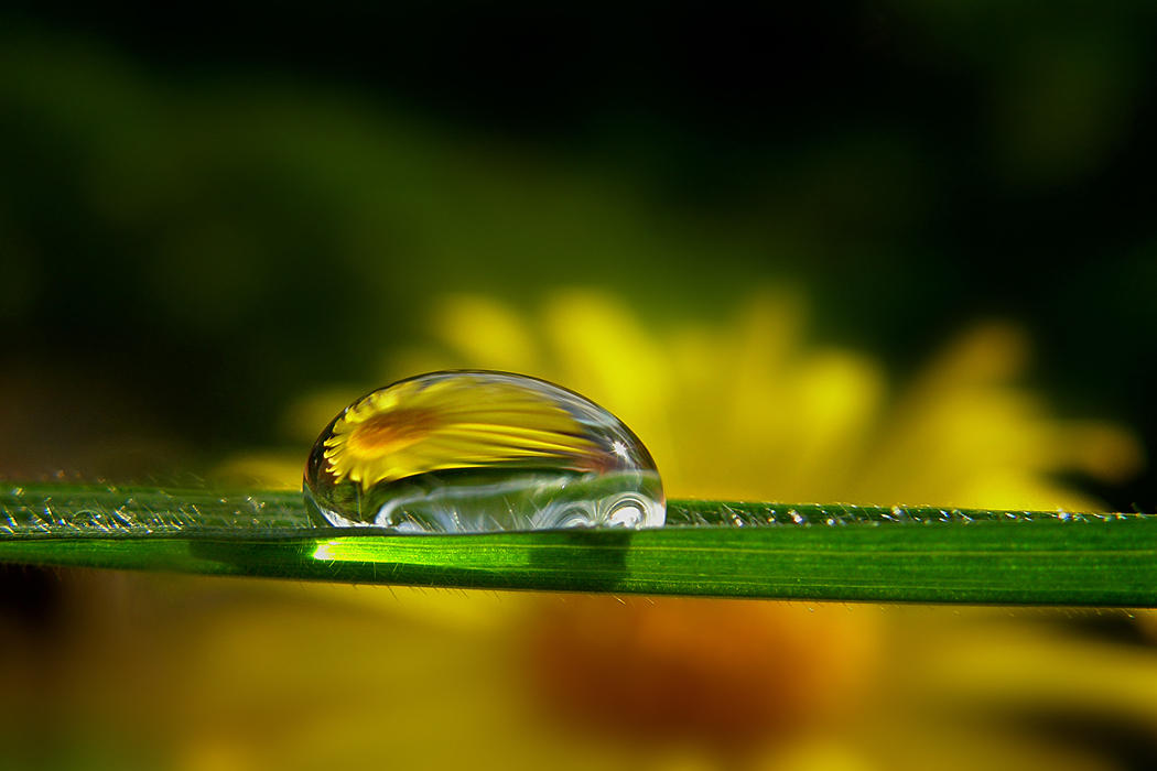 Drop