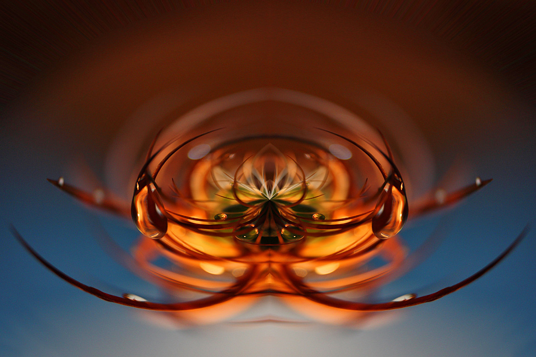 Cactus abstract