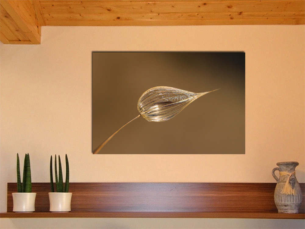 Imagine - max 60x40 cm