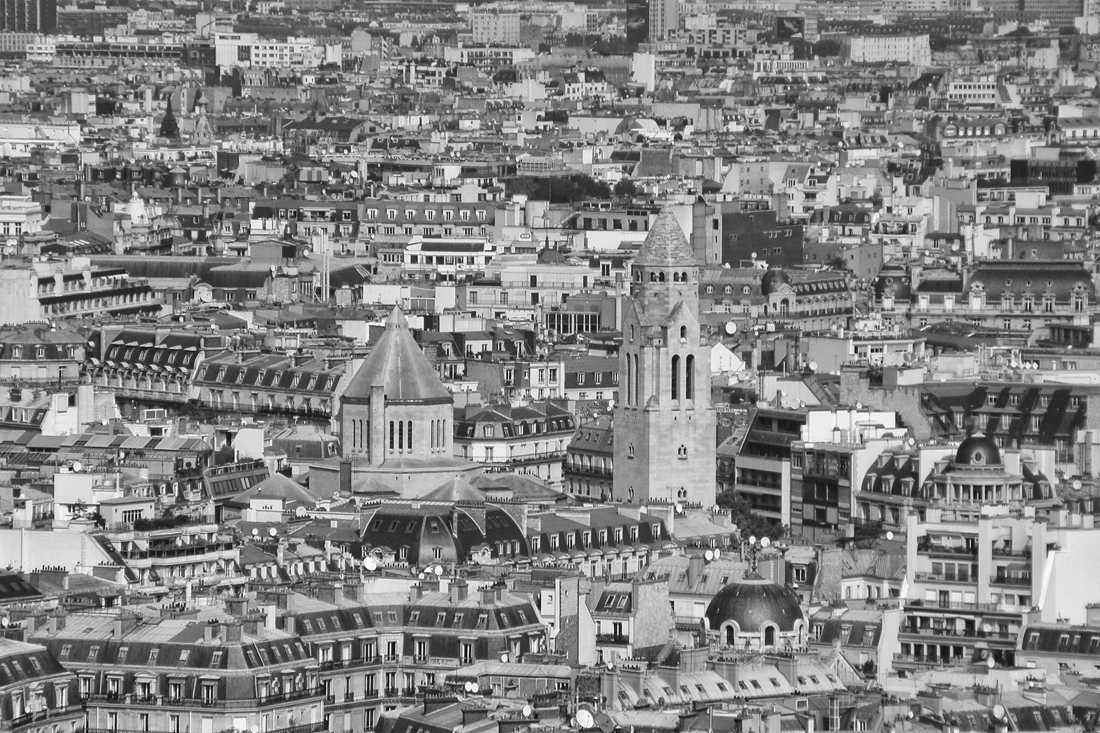 View from the Eiffel Tower 1